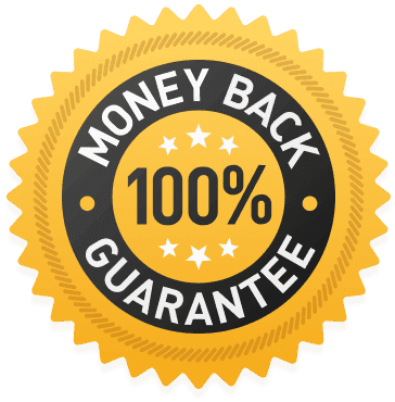Past Life Portrait Moneyback Guarantee
